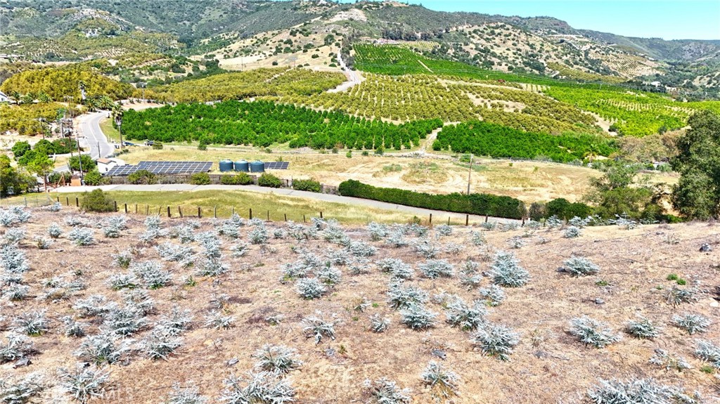 1 El Calamar Property Photo 13