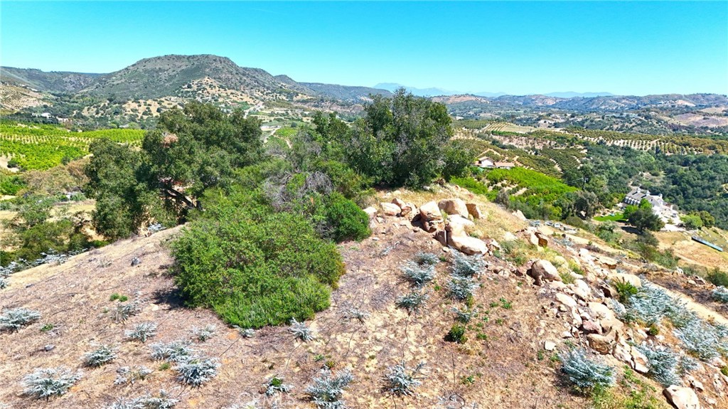 1 El Calamar Property Photo 14