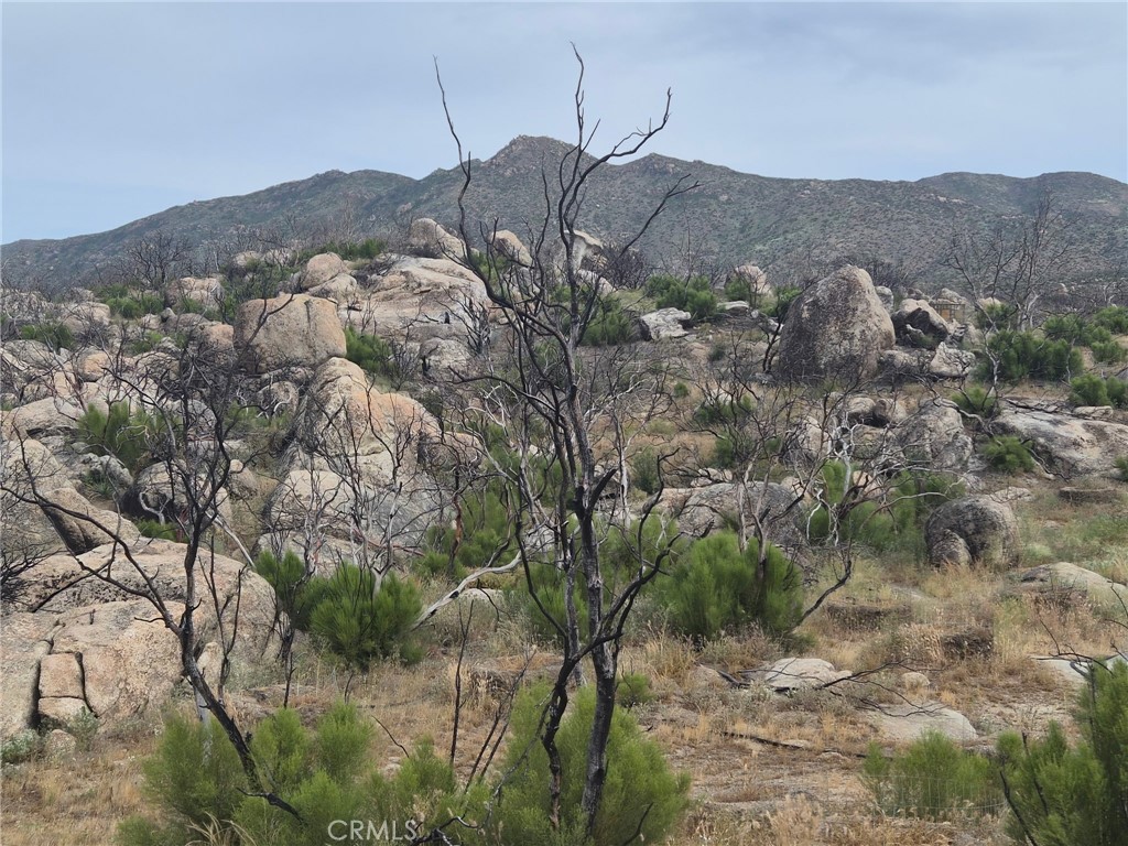 1 Tule Peak Road Property Photo 21