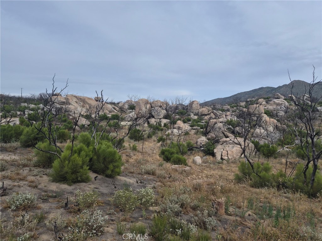 1 Tule Peak Road Property Photo 23