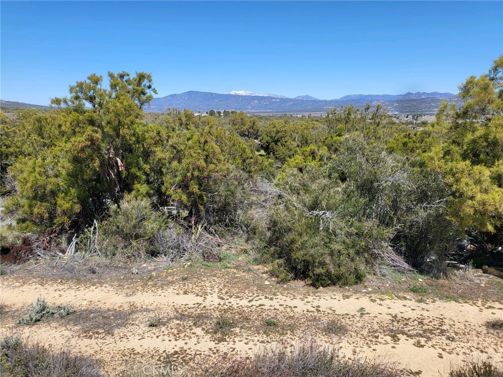 58660 80th Avenue Property Photo 7