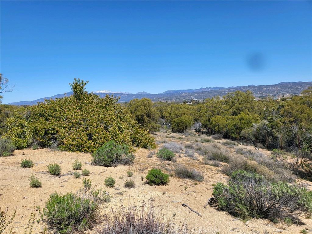 58660 80th Avenue Property Photo 10