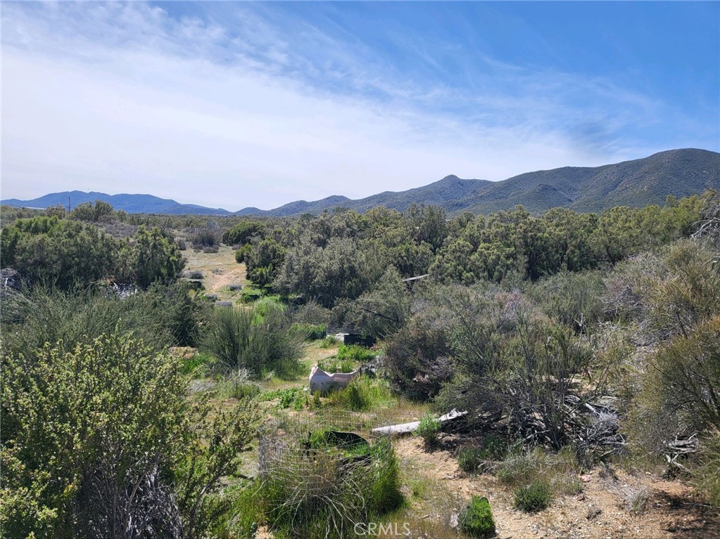 58660 80th Avenue Property Photo 11