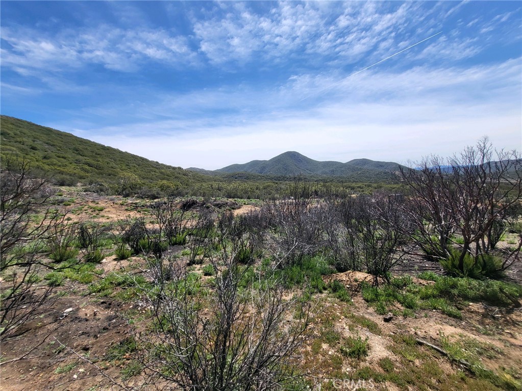 5 Cooper Cienega Trail Property Photo 6