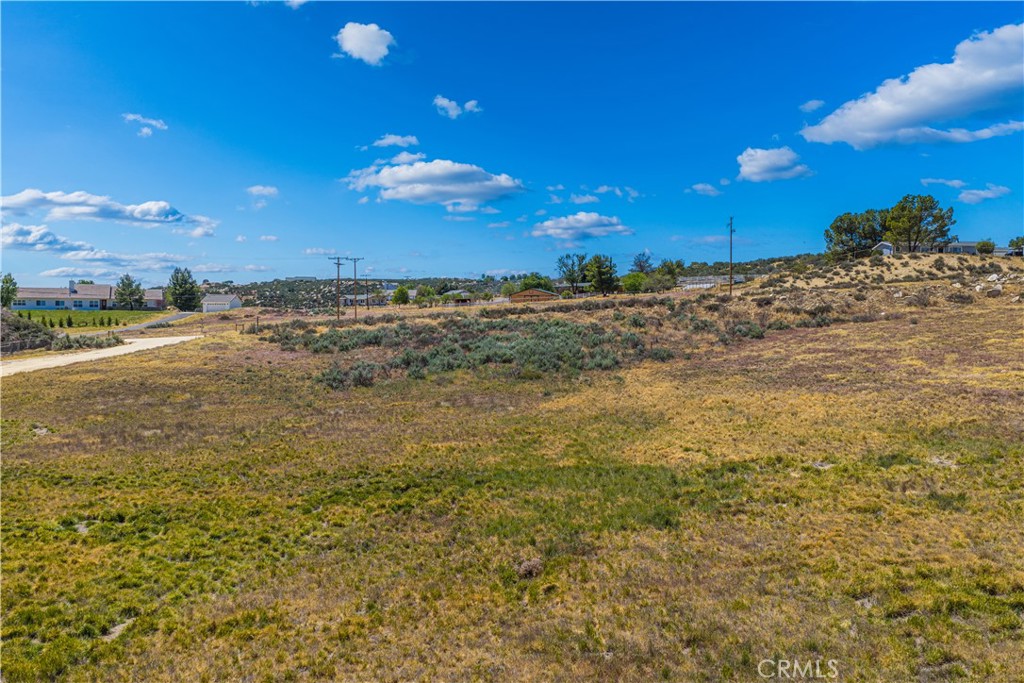 220 Lakeshore Boulevard Property Photo 9