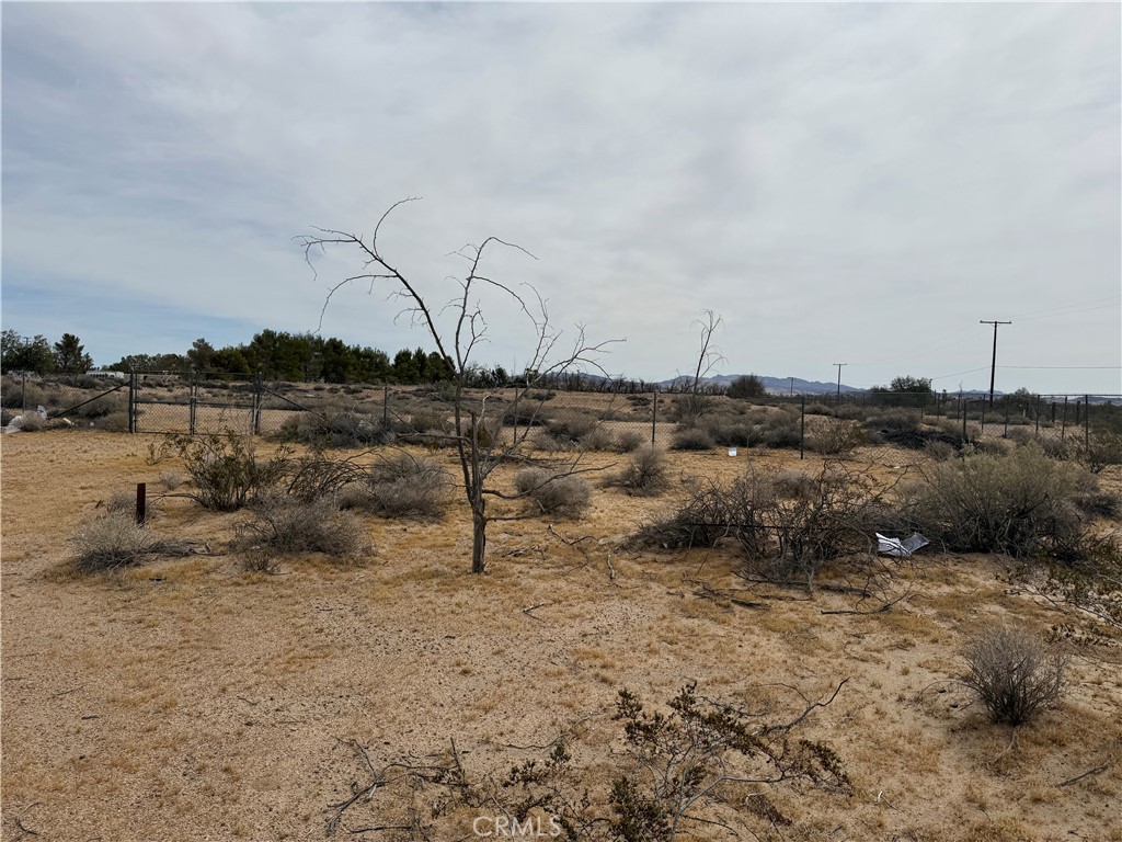 34805 Newberry Property Photo 15