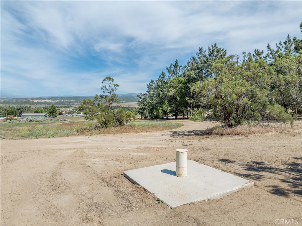 46 Lakeshore Boulevard Property Photo 1