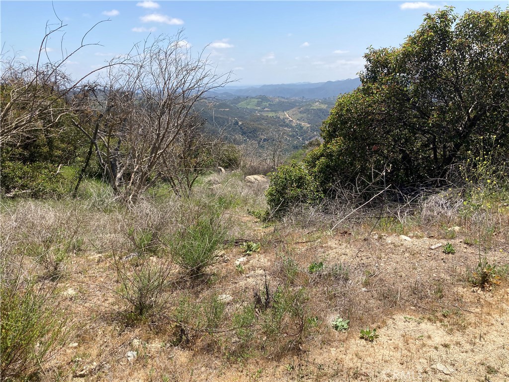 3 Daneri Lane Property Photo 2