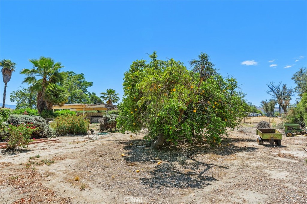 41531 Acacia Property Photo 14
