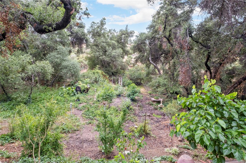 42185 Oak Canyon Property Photo 24