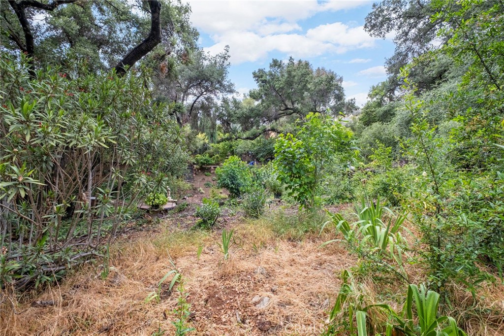 42185 Oak Canyon Property Photo 29