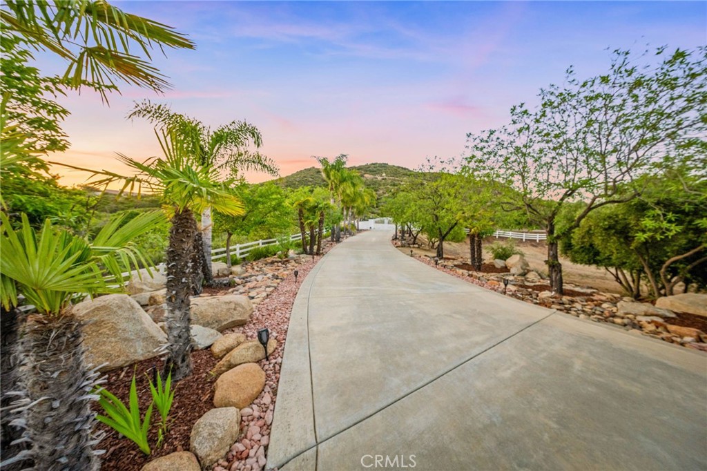 37626 Via Majorca Property Photo 13