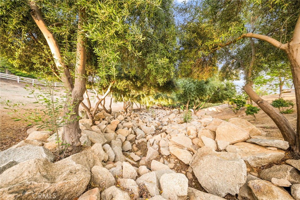 37626 Via Majorca Property Photo 25