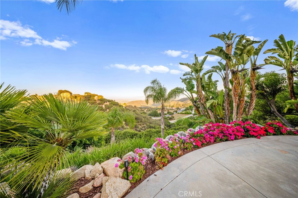 37626 Via Majorca Property Photo 28
