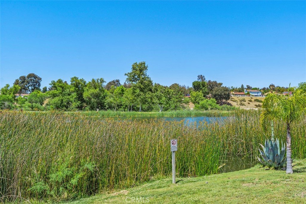 28518 Via Las Flores Property Photo 27