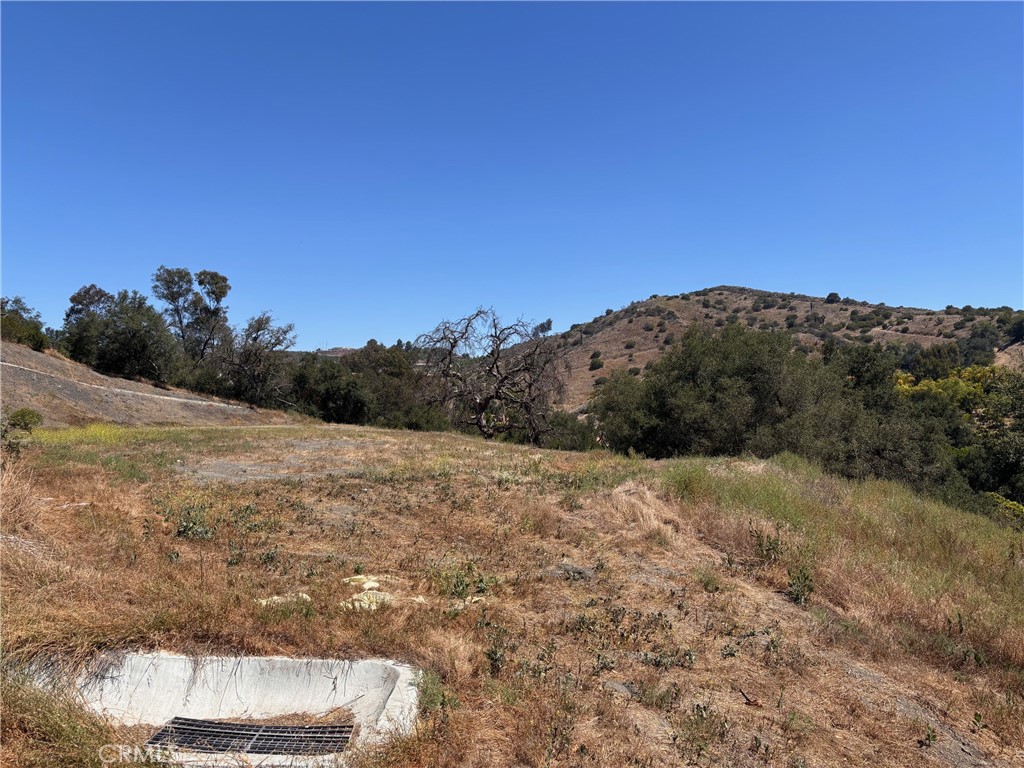 26055 Avenida Del Oro Property Photo 2