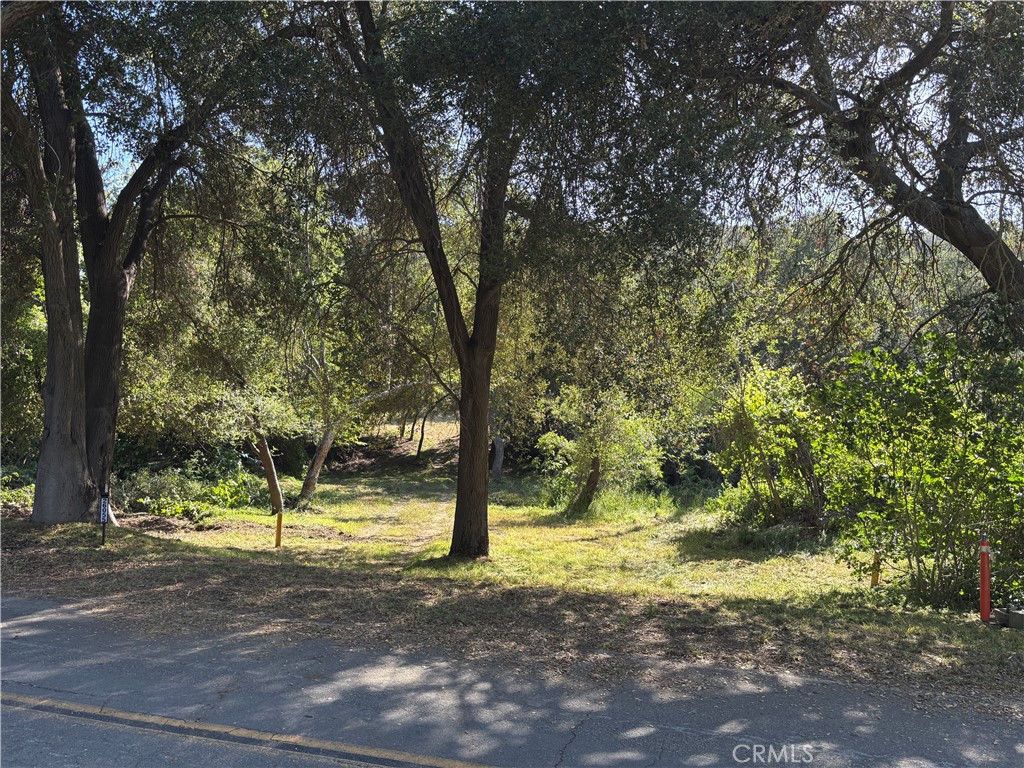 26055 Avenida Del Oro Property Photo 11