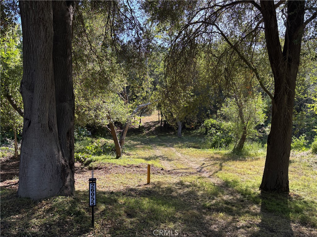 26055 Avenida Del Oro Property Photo 12