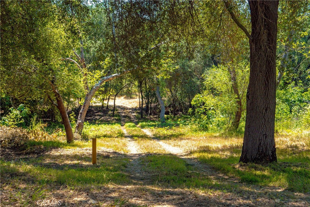 26055 Avenida Del Oro Property Photo 22