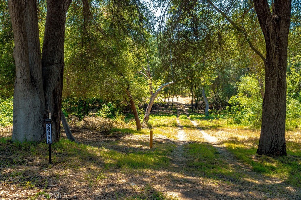 26055 Avenida Del Oro Property Photo 26
