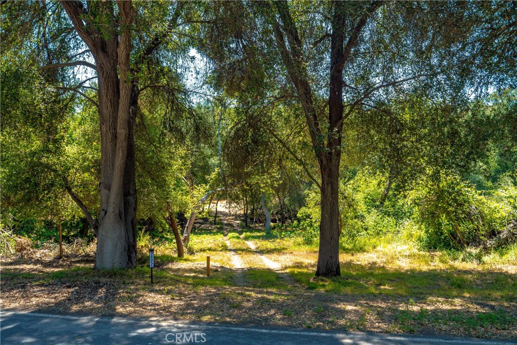 26055 Avenida Del Oro Property Photo 27