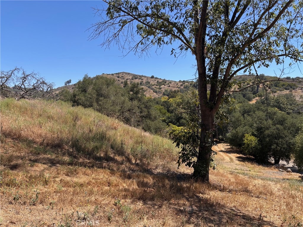26055 Avenida Del Oro Property Photo 32