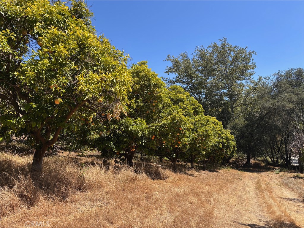 26055 Avenida Del Oro Property Photo 33