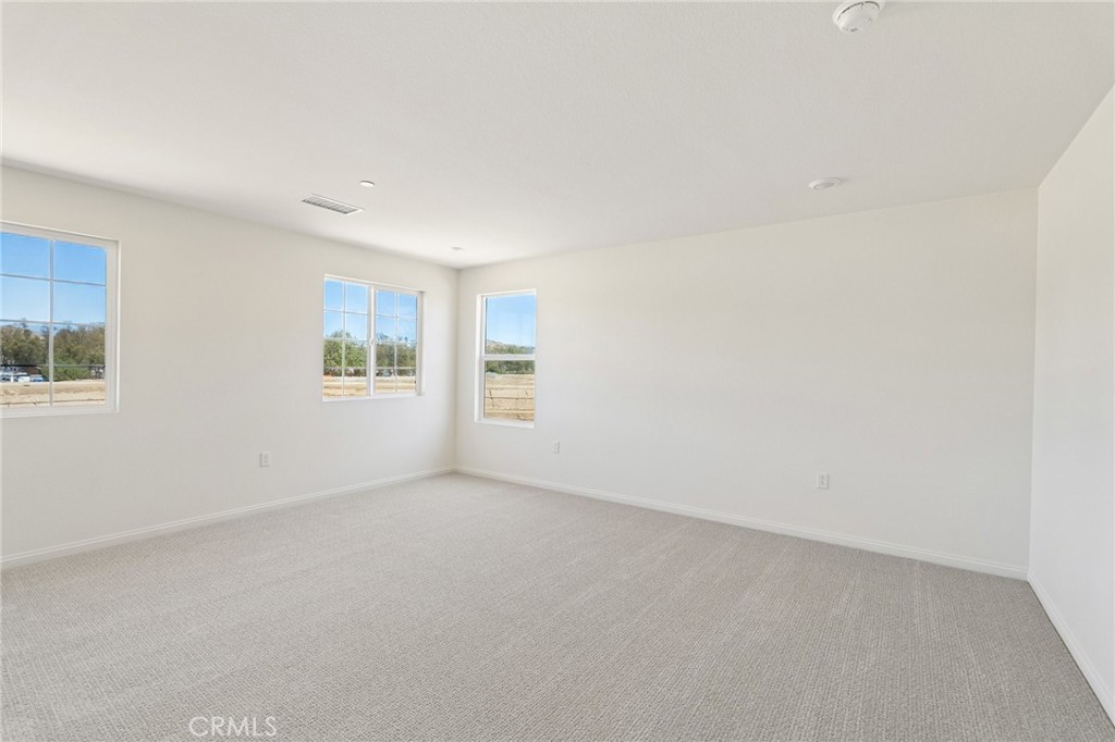 29618 Bluelake Lane Property Photo 28