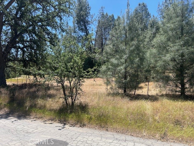 0 Coalinga Property Photo 2