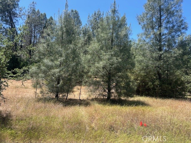 0 Coalinga Property Photo 3