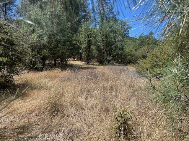 0 Coalinga Property Photo 4