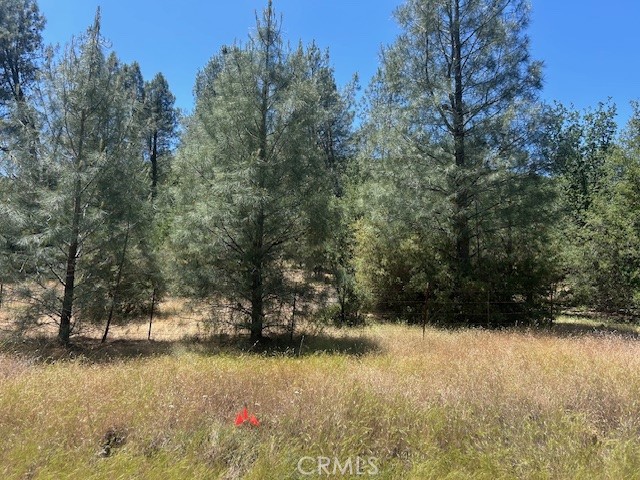0 Coalinga Property Photo 5