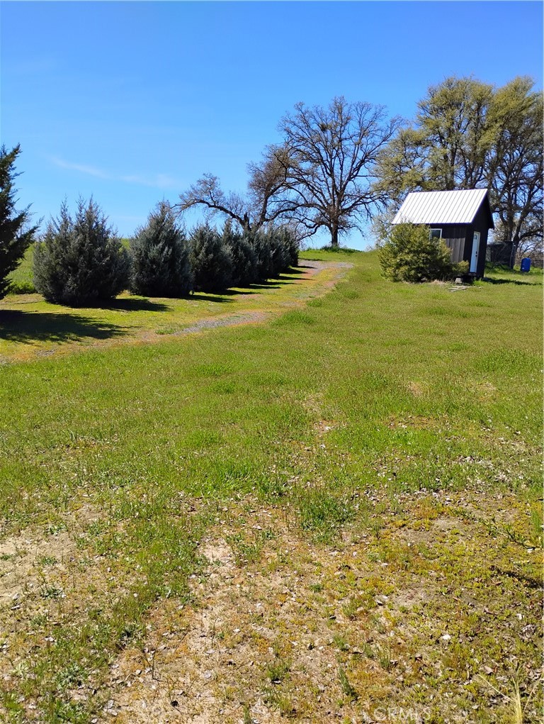 35371 Spanish Oak Property Photo 1