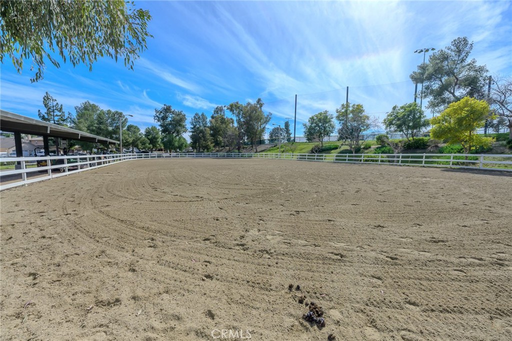 30010 Big Range Road Property Photo 10