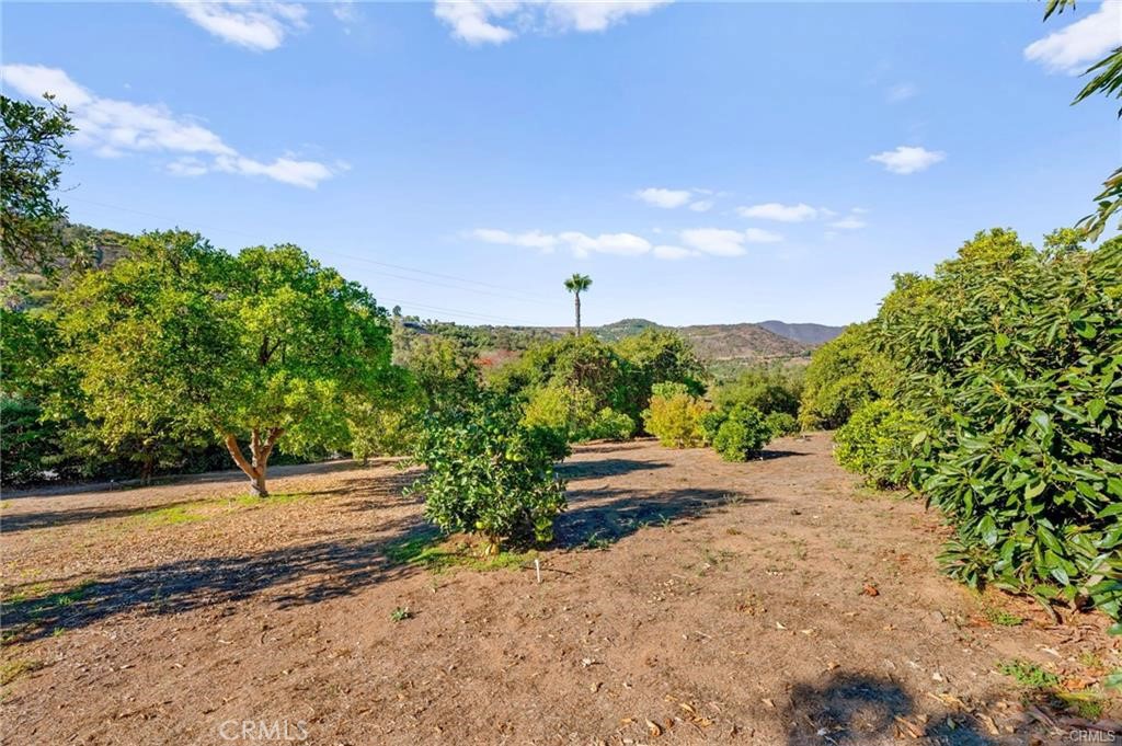 3945 Pala Mesa Property Photo 74