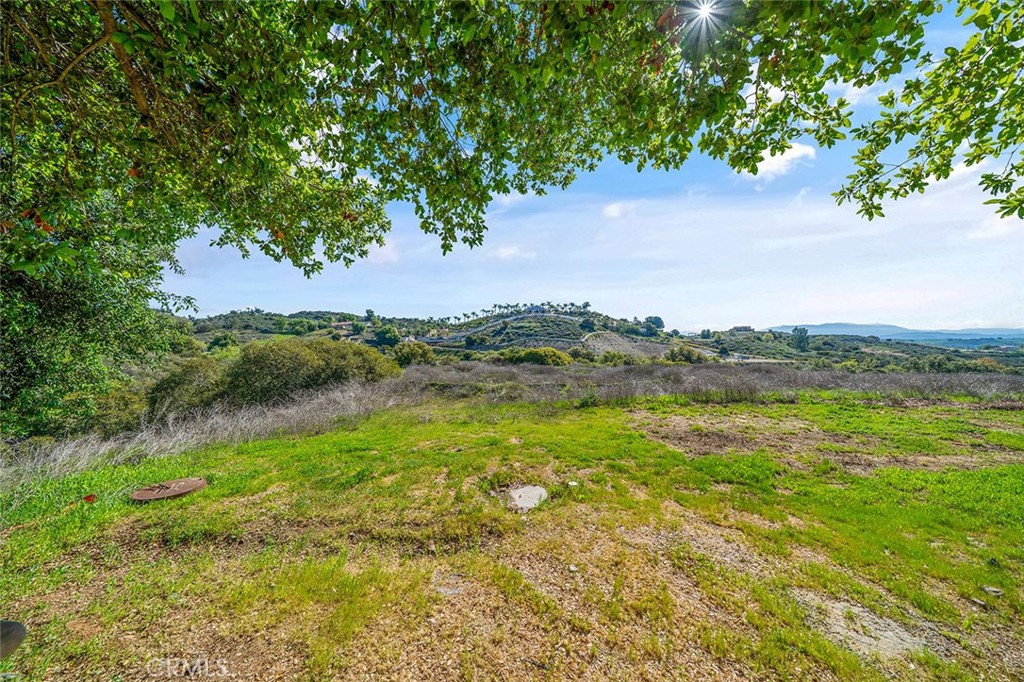 21128 Via Los Laureles Property Photo 51
