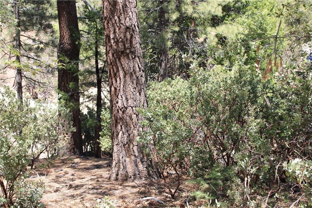 8 Big Rock Drive Property Photo 2