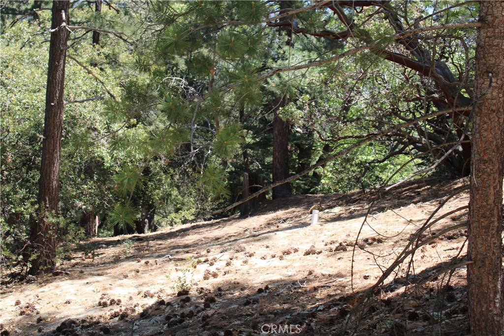8 Big Rock Drive Property Photo 3