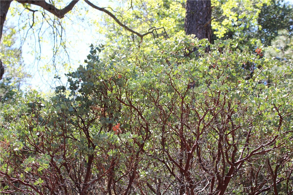 8 Big Rock Drive Property Photo 7