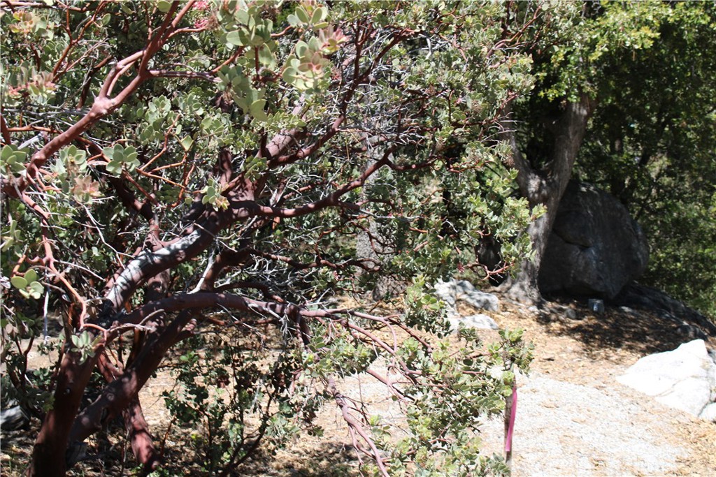 8 Big Rock Drive Property Photo 9
