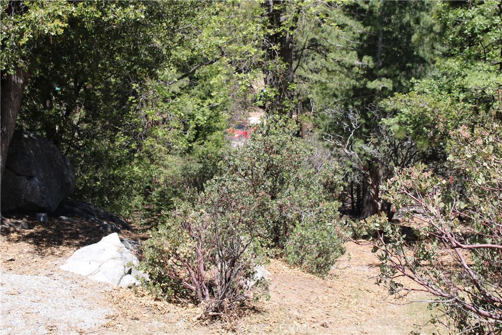 8 Big Rock Drive Property Photo 11
