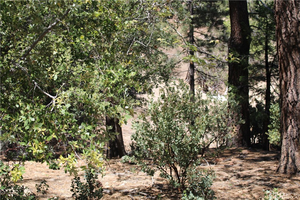 8 Big Rock Drive Property Photo 12