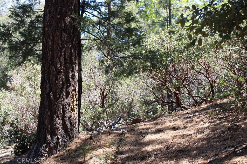 8 Big Rock Drive Property Photo 15