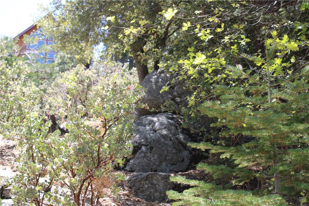 8 Big Rock Drive Property Photo 16