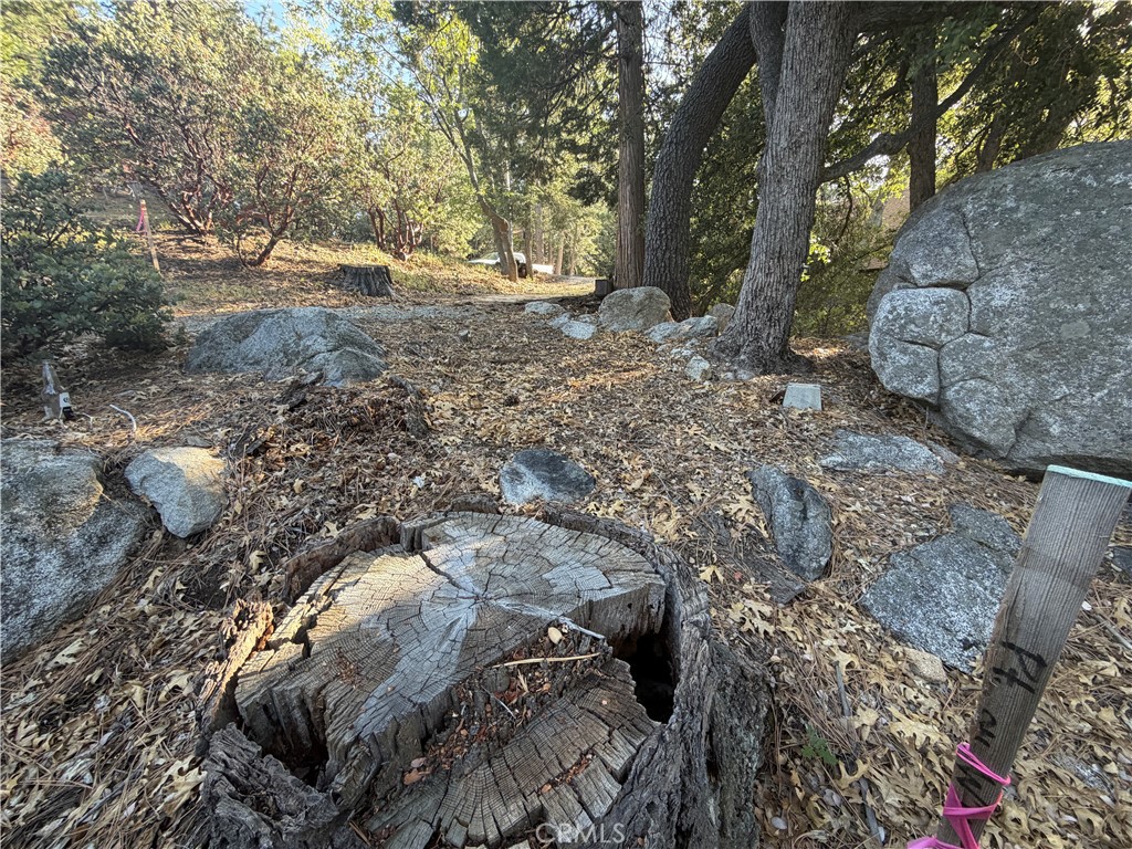 8 Big Rock Drive Property Photo 22