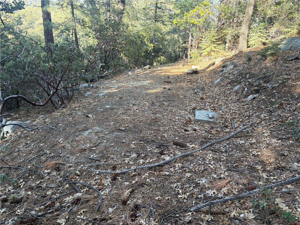 8 Big Rock Drive Property Photo 25