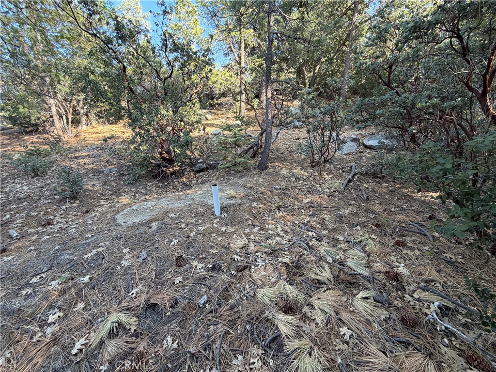 8 Big Rock Drive Property Photo 26