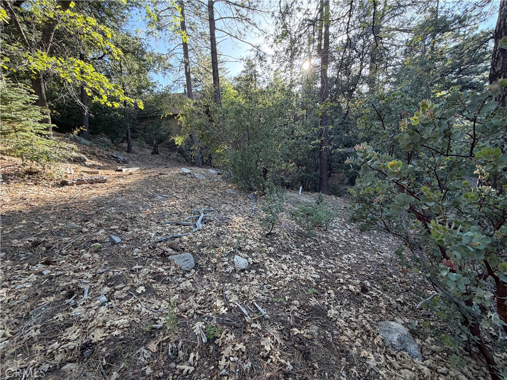 8 Big Rock Drive Property Photo 28