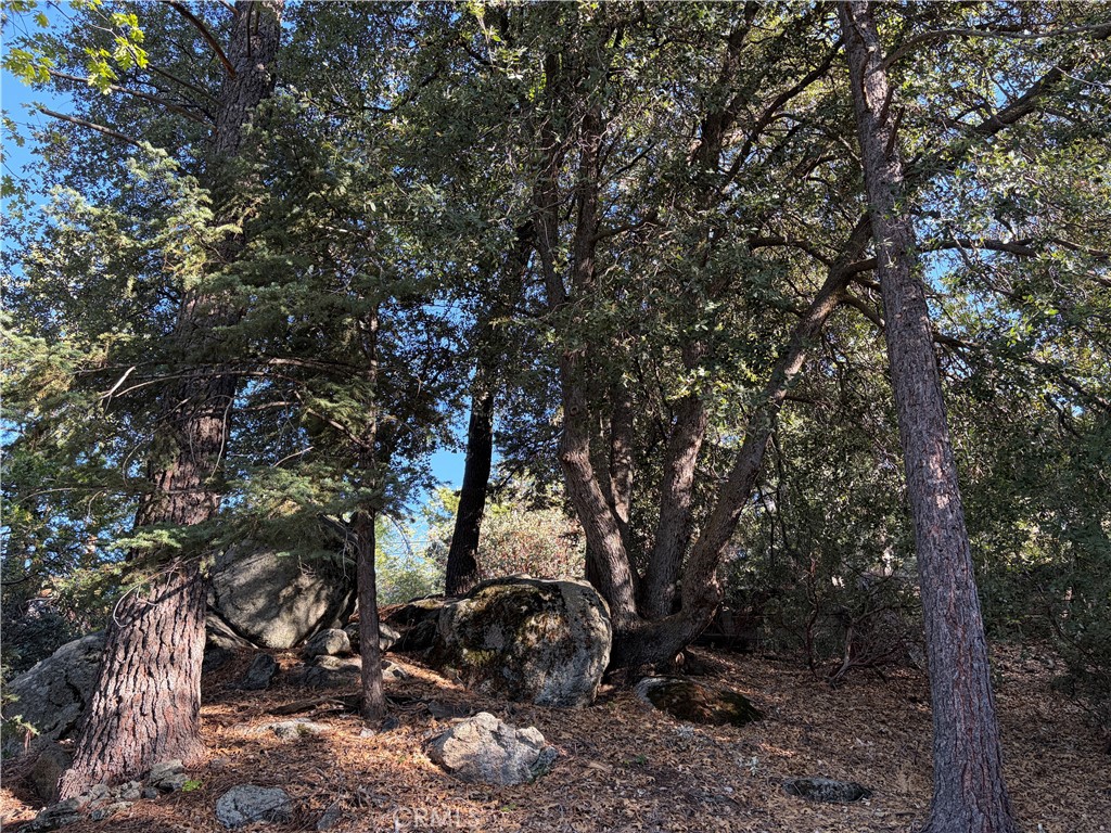 8 Big Rock Drive Property Photo 29
