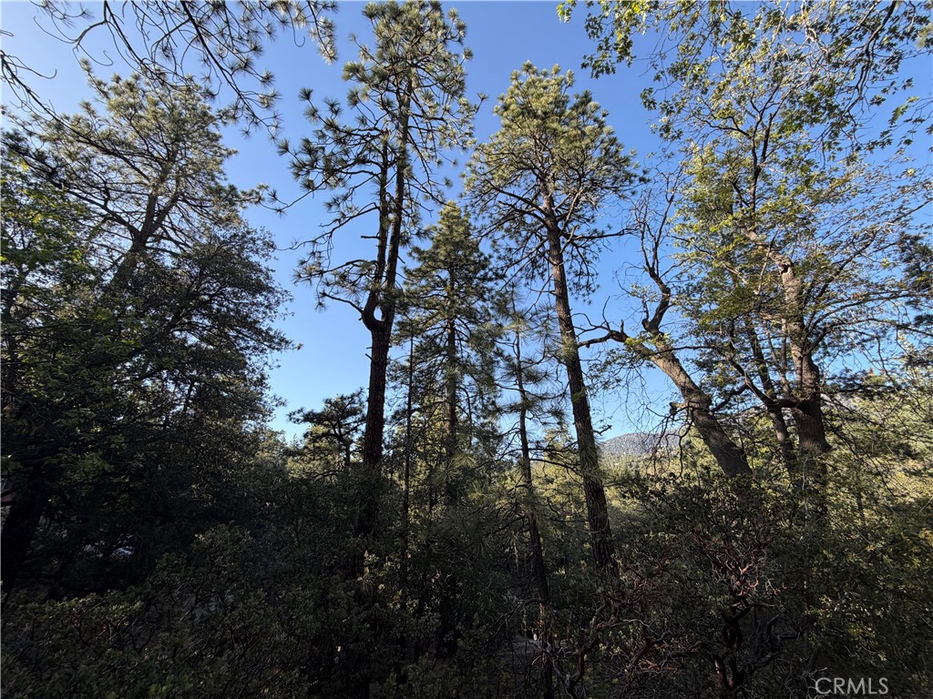8 Big Rock Drive Property Photo 31